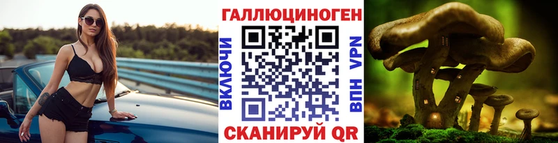 Галлюциногенные грибы Cubensis  Геленджик 